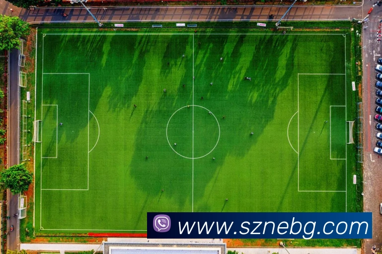 App Interface Preview